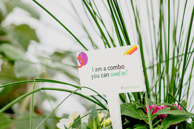 PanAmerican Seed - Calculated Combo Programme