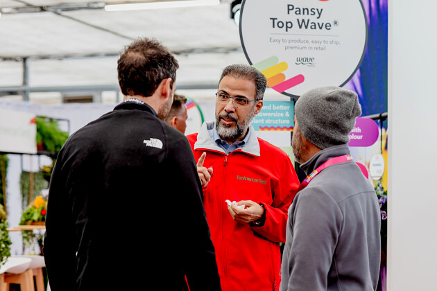 PanAmerican Seed - Hussam