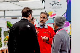 PanAmerican Seed - Hussam