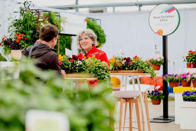 PanAmerican Seed - Sylvia