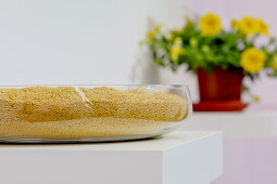 PanAmerican Seed - Petchoa seed