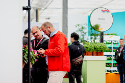 PanAmerican Seed - Jeroen