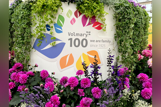 Volmary GmbH - Volmary Show