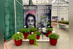 Elsner pac Vertriebsgesellschaft mbH