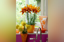 Lily Looks - Lily Look impression image