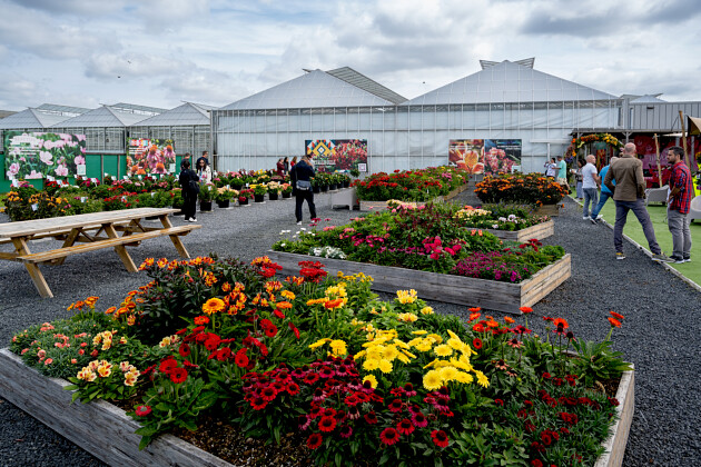 HilverdaFlorist - FlowerTrials&reg; Trial Garden