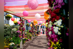 Royal Van Zanten - Skyfall&reg; hanging basket