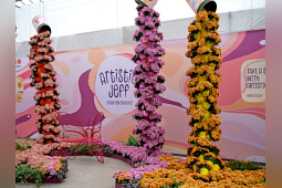 Royal Van Zanten - Artistic Jeff series