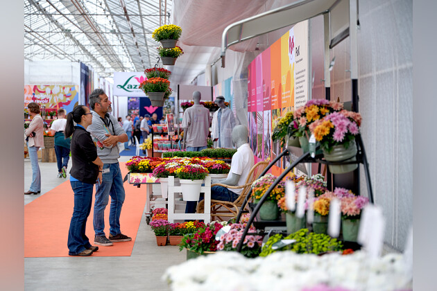 Royal Van Zanten - Product presentation