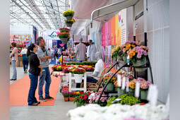 Royal Van Zanten - Product presentation