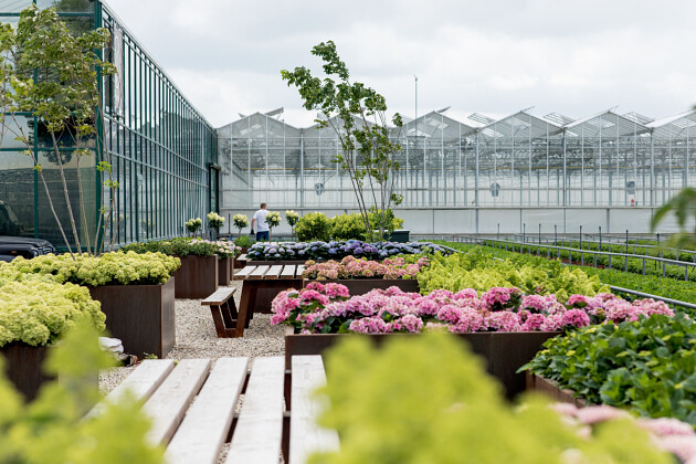 Kwekerij Lendert de Vos BV - Showgarden