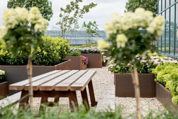 Kwekerij Lendert de Vos BV - Showgarden