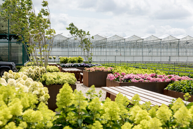 Kwekerij Lendert de Vos BV - Showgarden