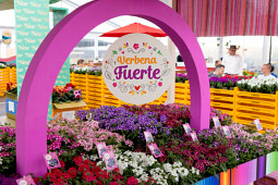 Beekenkamp Plants BV