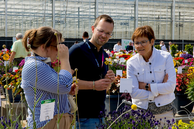 Beekenkamp Plants BV
