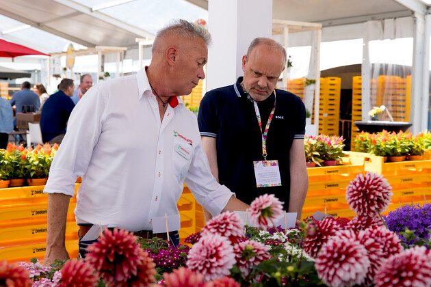 Beekenkamp Plants BV