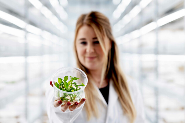 KP Holland - Starting material at Innovation Lab