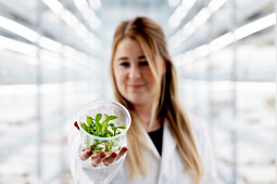 KP Holland - Starting material at Innovation Lab