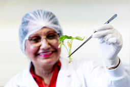 KP Holland - Tissue material