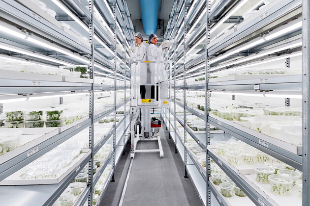 KP Holland - KP Holland Innovation Lab