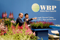 Walter Blom Plants B.V. - Impression FlowerTrials 2025