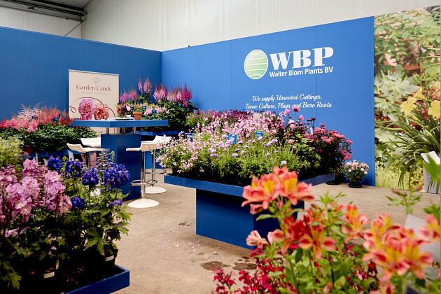 Walter Blom Plants B.V. - Impression FlowerTrials 2025