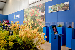 Walter Blom Plants B.V. - Impression FlowerTrials 2025