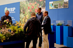 Walter Blom Plants B.V. - Impression FlowerTrials 2025