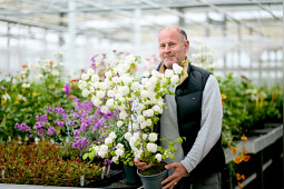 Kolster - Visit our nursery