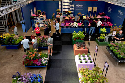 Kolster - Our location features Kolster, HOKO, Walter Blom