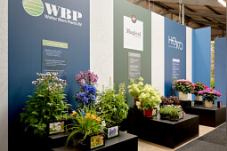 Kolster - Experience our new products and vote for your favorite