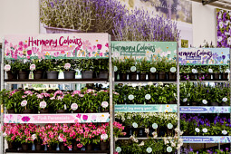 Florensis - Retailshow 2025