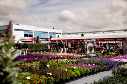 Florensis - Toscana show 2025