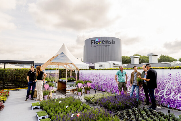 Florensis - Lavandula Lovers show 2025