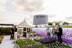 Florensis - Lavandula Lovers show 2025