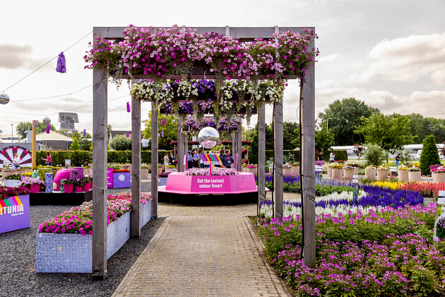 Florensis - Petunia GO!Tunia show 2025