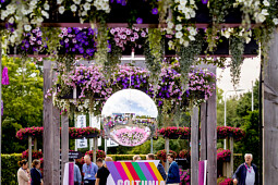 Florensis - Petunia GO!Tunia show 2025