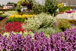 Florensis - Landscaping show 2025