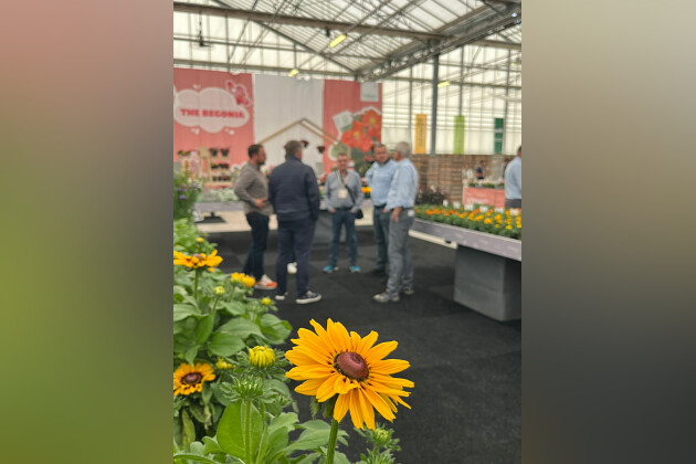 Benary - Flower Trials at Benary 2025
