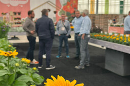 Benary - Flower Trials at Benary 2025