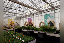 Benary - Overview of Flower Trials 2025