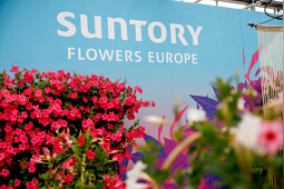 Suntory Flowers Europe