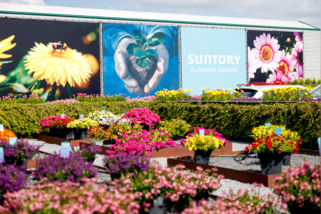 Suntory Flowers Europe