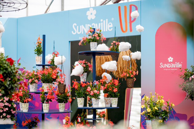 Suntory Flowers Europe