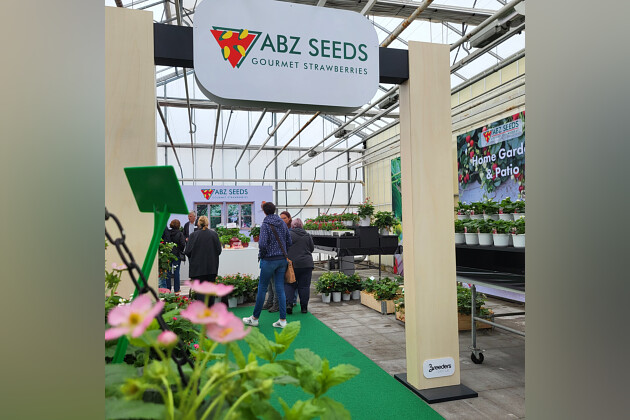 ABZ Seeds