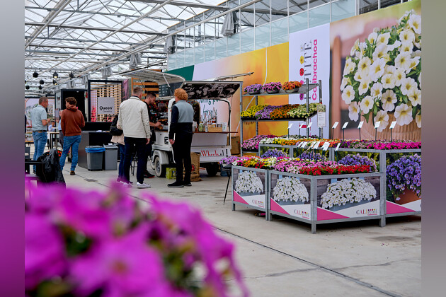 Sakata - catering area