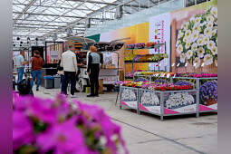 Sakata - catering area