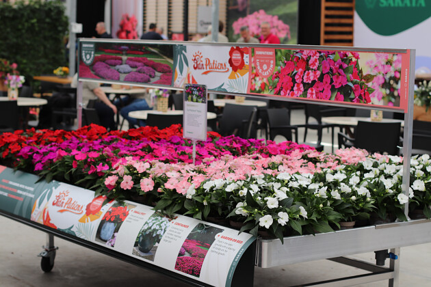 Sakata - SunPatiens&reg; garden center table