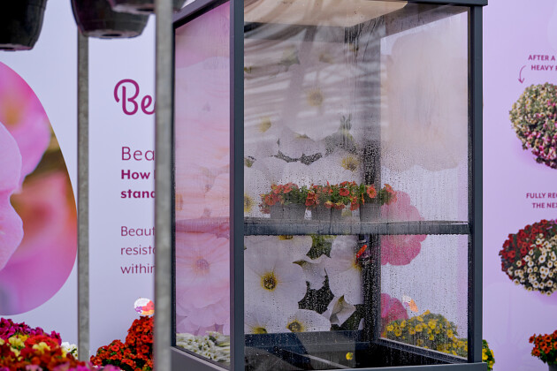 Sakata - BeautiCal&reg; rain shower