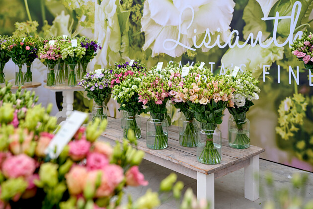 Sakata - Lisianthus series